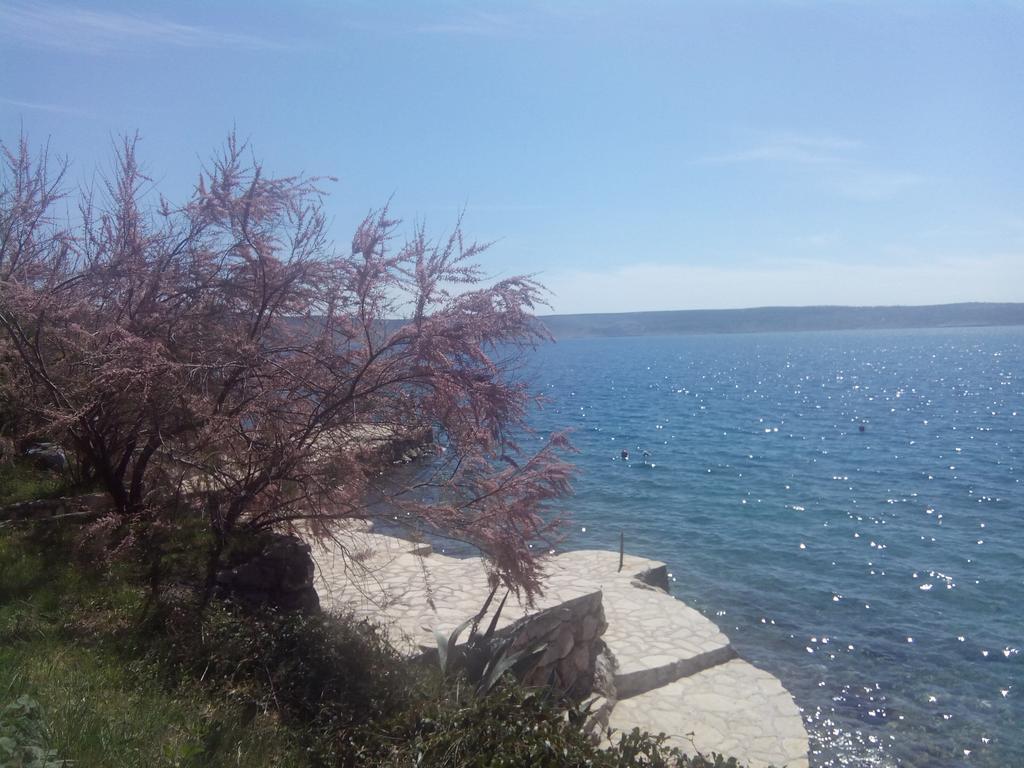 Apartments Ivanka Starigrad Paklenica Cameră foto
